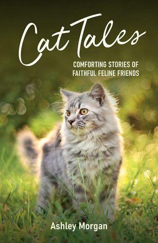 Cat Tales - by Ashley Morgan - Paperback