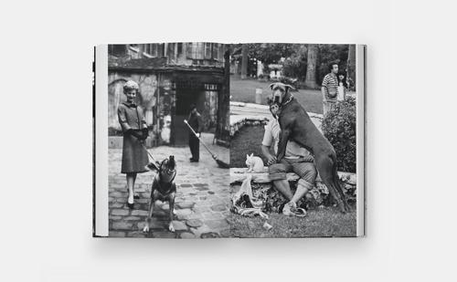 DogDogs - by Elliott Erwitt - Hardcover