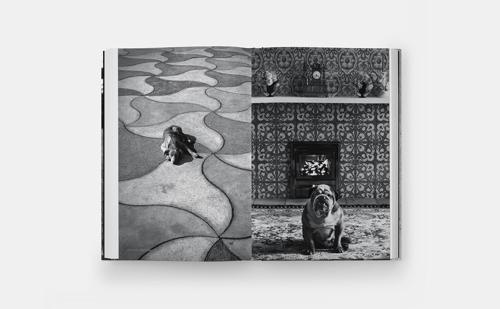 DogDogs - by Elliott Erwitt - Hardcover
