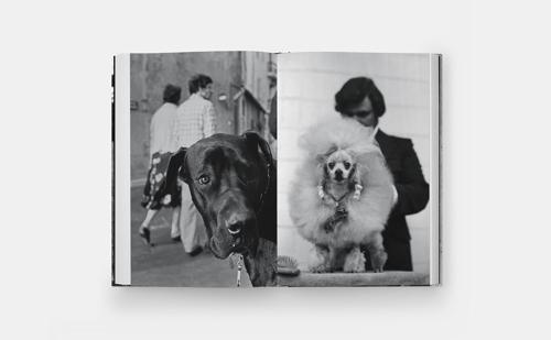 DogDogs - by Elliott Erwitt - Hardcover