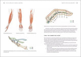 The Science of Climbing Training - Outdoor Guide - by Sergio Consuegra Paperback