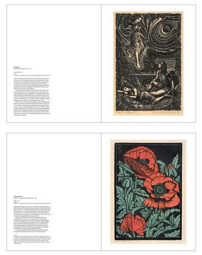 Ink On Paper 25 Pull Out Posters - by Peter Vangioni - Paperback