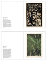Ink On Paper 25 Pull Out Posters - by Peter Vangioni - Paperback