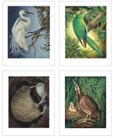 Eileen Mayos Rare and Endangered Birds of Aotearoa New Zealand 30 Pull Out