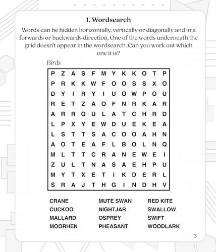 Large Print Brain Game Puzzles Calm - Paperback