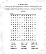Large Print Brain Game Puzzles Calm - Paperback