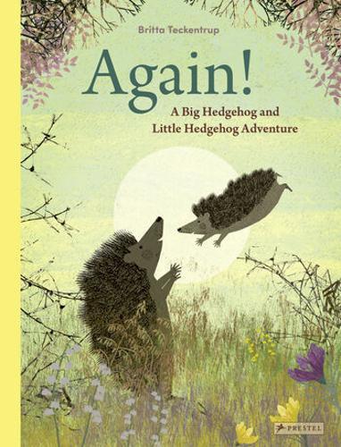 Again - Children's Book - by Britta Teckentrup - Hardcover