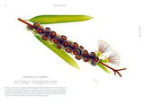 Seeds Natures Intrepid Miracles - by Cruschiform - Hardcover