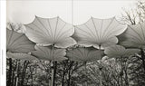Frei Otto Building With Nature - Nature Book - by Joaquin Medina Warmburg