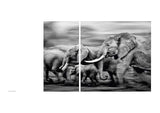 Walk the Earth - by Federico Veronesi - Hardcover