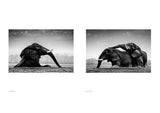 Walk the Earth - by Federico Veronesi - Hardcover