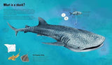 The World of Sharks - by Darcy Dobell - Hardcover