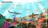 The World of Sharks - by Darcy Dobell - Hardcover