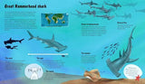 The World of Sharks - by Darcy Dobell - Hardcover