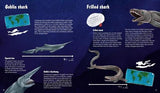 The World of Sharks - by Darcy Dobell - Hardcover