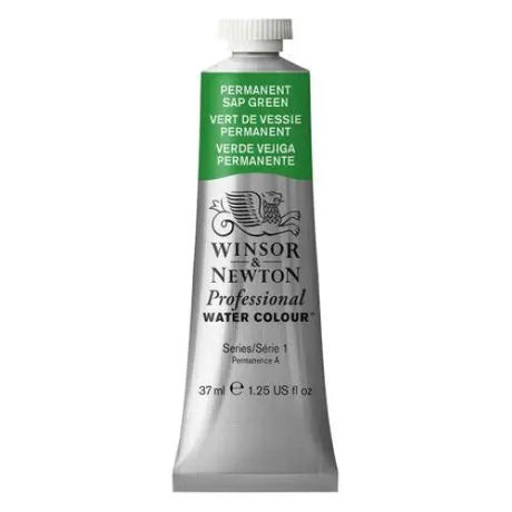 Winsor & Newton Professional Watercolour in Permanent Sap Green, 37ml, known for its brilliance and excellent lightfastness.