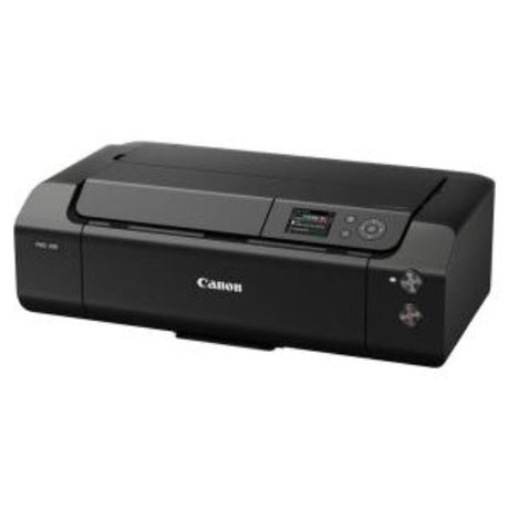 PRO-300 A3+ Inkjet Printer showcasing vibrant, gallery-quality prints with a 9-color ink system for photography enthusiasts.