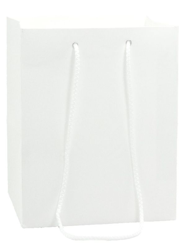 Tall Paper Kraft Bag - White 27cm (Pack of 10)