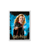 Dragon Shield: Sleeves  - Matte Art  - WizardingWorld: Hermoine Granger