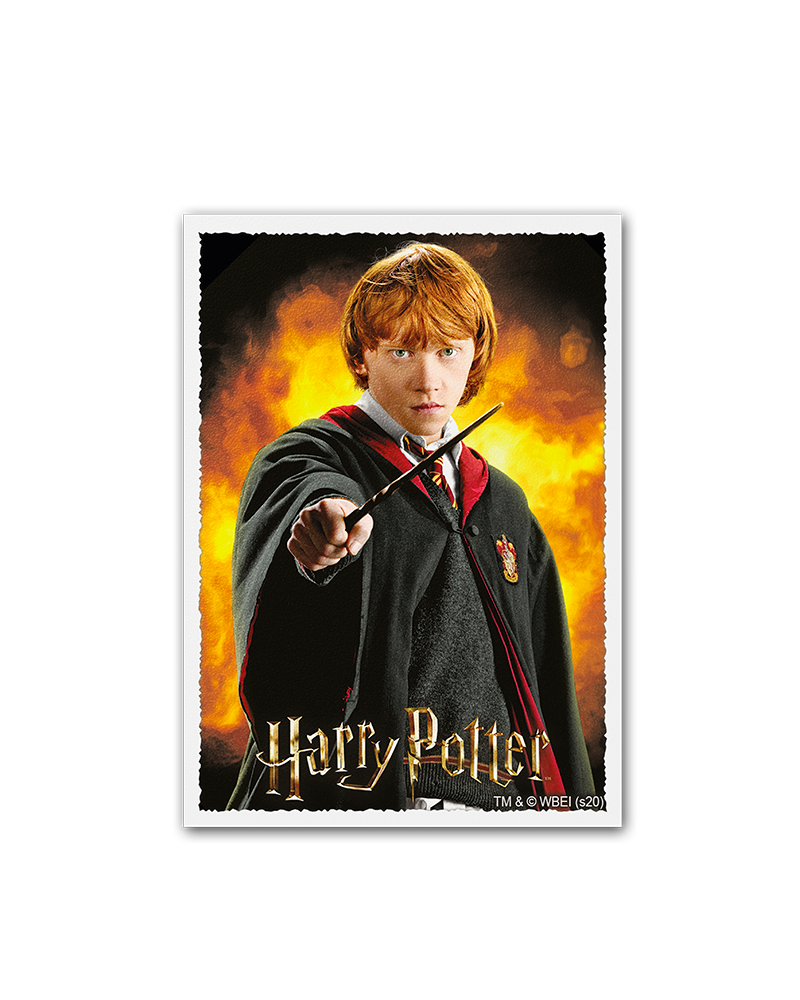 Dragon Shield: Sleeves  - Matte Art  - WizardingWorld: Ron Weasley