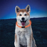 NITE IZE NITEHOWL LED SAFETY NECKLACE - ORANGE