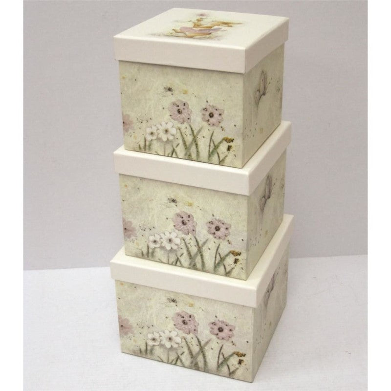 DAKOTA B-PARKER FAIRY WHISPER SQ NESTED BX 3PCE