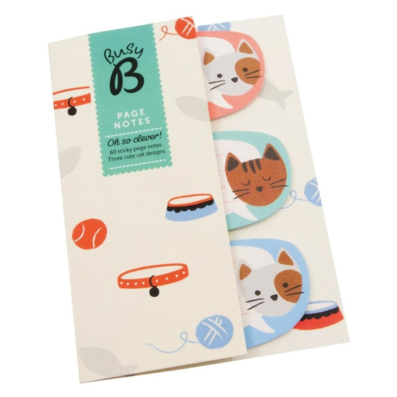 BUSY B KITTY PAGE NOTES