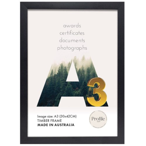 Elegant Black Poster Picture Frame
