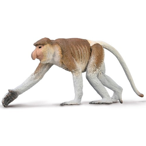 Figurine - CollectA Proboscis Monkey