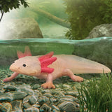 Figurine - CollectA Axolotl