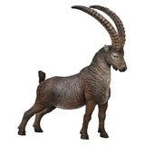 Figurine - CollectA Alpine Ibex