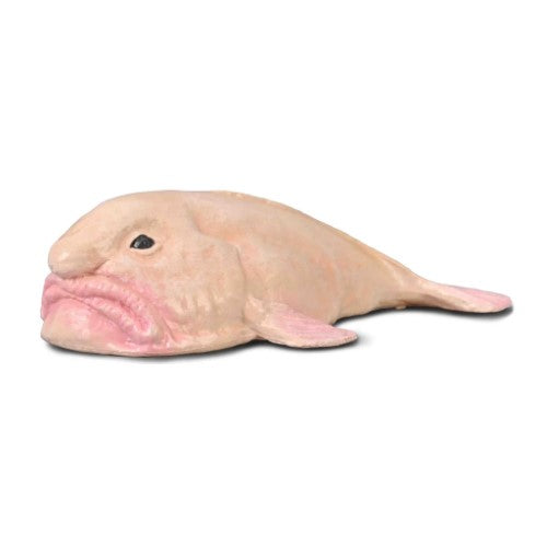 Figurine - Collecta Blobfish Figurine (Small)