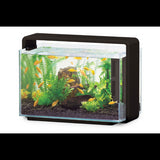 Aquatic Aquarium Hailea Aquarium 60L - Black