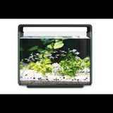 Aquatic Aquarium Hailea Aquarium 80L - Black