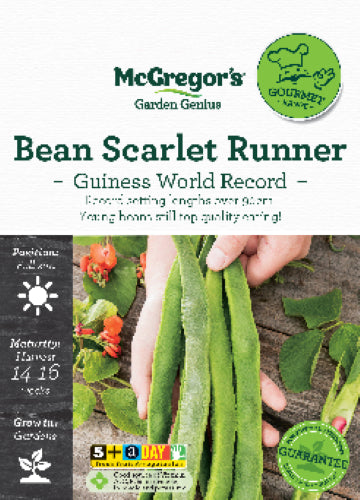 McGregor's Bean Scarlet Runner Guiness World Record Packet