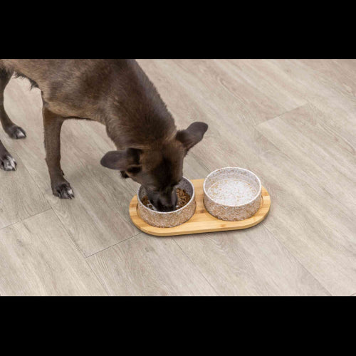 Dog Bowl Ceramic Bowls with Bamboo Stand - 16cm x 2