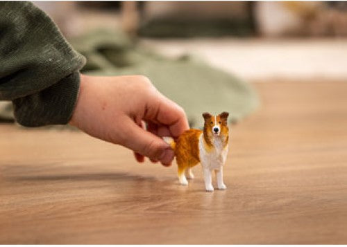Schleich - Collie 2025 Release