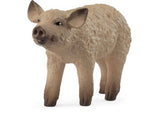 Schleich - Mangalica Piglet