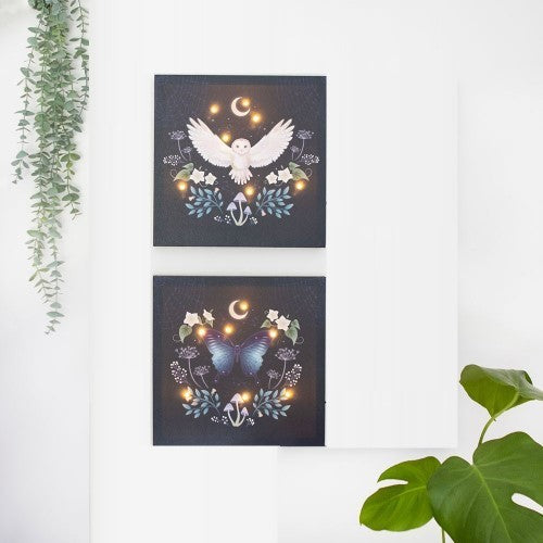 Midnight Moth Light Up Canvas Plaque