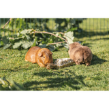 Small Animal Toy Grass Carrot 20cm