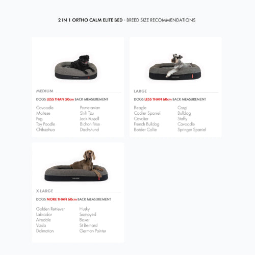Dog Bed Ezydog 2in1 Ortho Calm Elite BEzydog Charcoal/Black - Medium