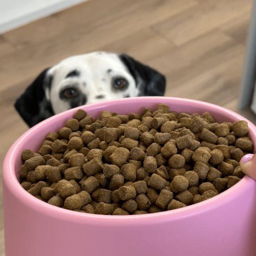Dog Bowl Beco Steady Dog Bowl Small - Candy Pink