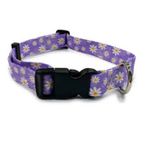 Dog Daisy Purple Collar - MEzydog 34-56cm