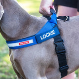 Dog Harness Ezydog PersonalisEzydog Label