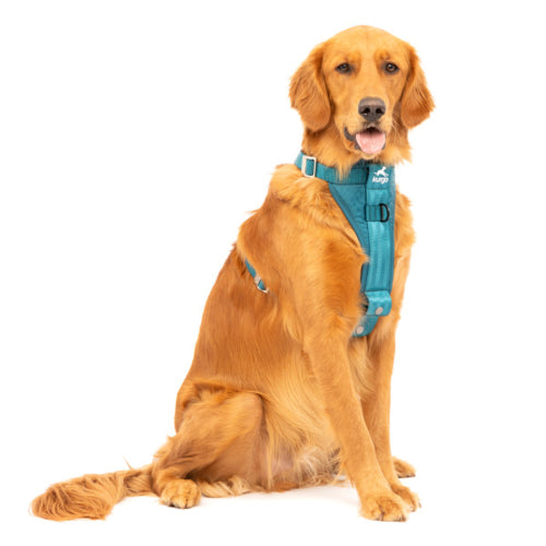 Dog Harness Kurgo EnhancEzydog Strength Tru-Fit Harness - Ink Blue L