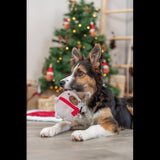 Dog Toy  Xmas Dog 16cm
