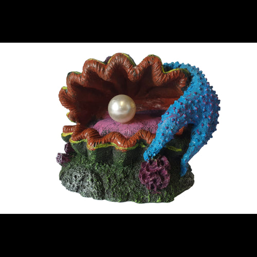 Aquatic Ornament Oyster shell with pearl