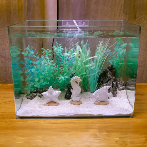 Aquatic Ornament Coastal Resin Kit