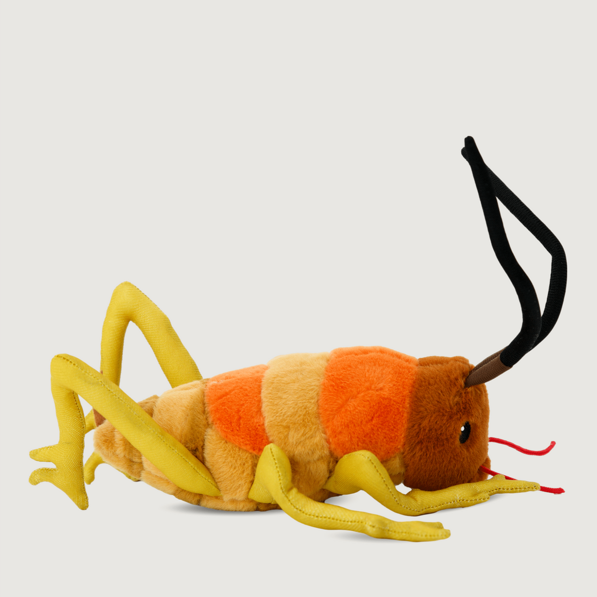 Moana Road - Soft Toy - Wiremu the Weta