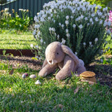 Margot Hare - Small - Wonderlings